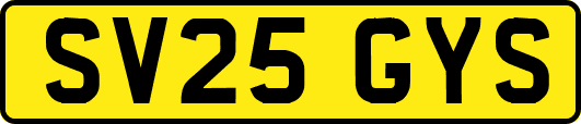SV25GYS