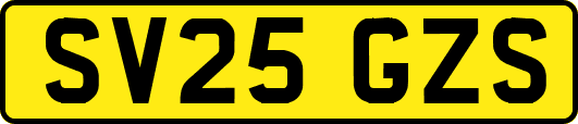 SV25GZS