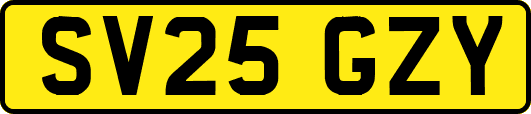 SV25GZY