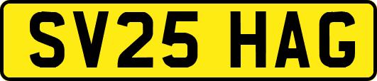 SV25HAG