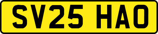 SV25HAO