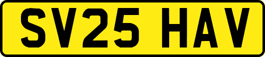 SV25HAV
