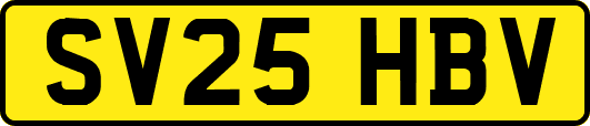 SV25HBV