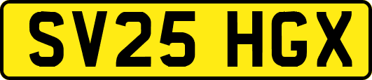 SV25HGX