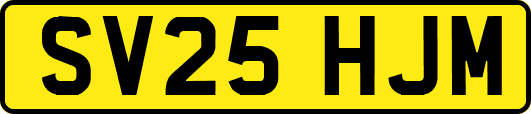 SV25HJM