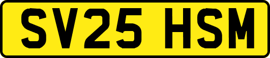 SV25HSM