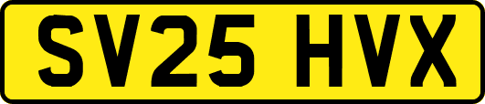 SV25HVX