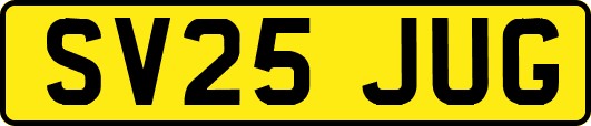 SV25JUG