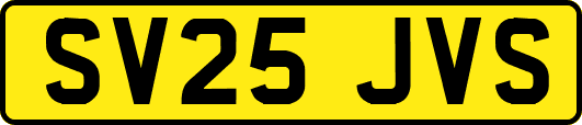 SV25JVS