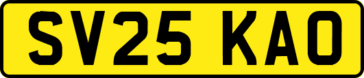 SV25KAO