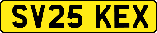SV25KEX