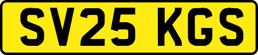 SV25KGS