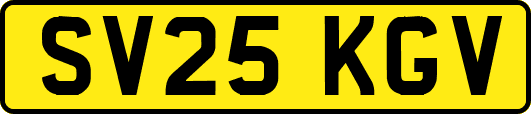 SV25KGV