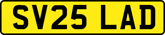 SV25LAD