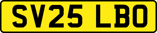 SV25LBO