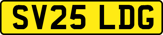 SV25LDG