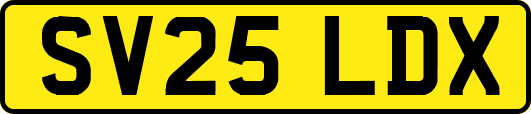 SV25LDX