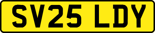 SV25LDY