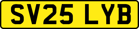 SV25LYB