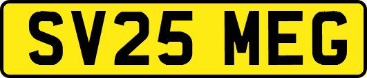 SV25MEG