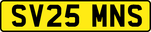 SV25MNS