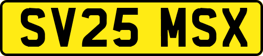 SV25MSX