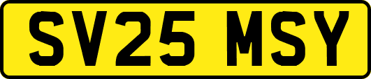 SV25MSY
