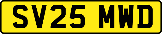 SV25MWD