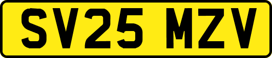 SV25MZV