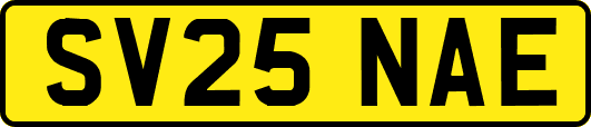 SV25NAE