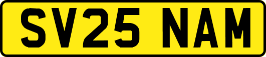 SV25NAM