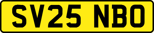 SV25NBO