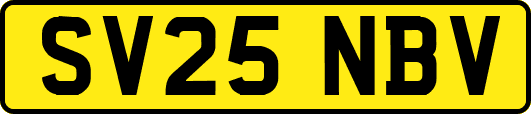 SV25NBV