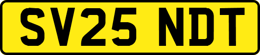 SV25NDT