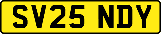 SV25NDY
