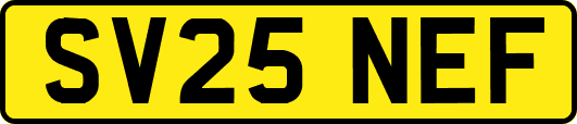SV25NEF