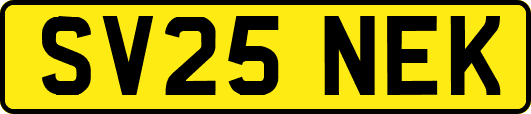 SV25NEK
