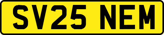 SV25NEM