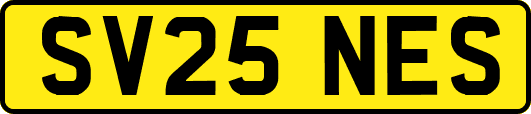 SV25NES