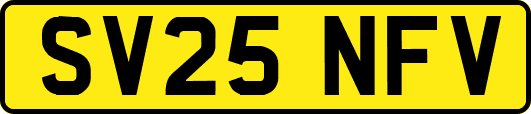 SV25NFV