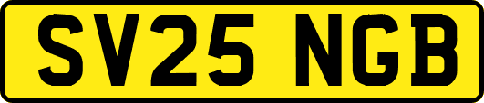 SV25NGB