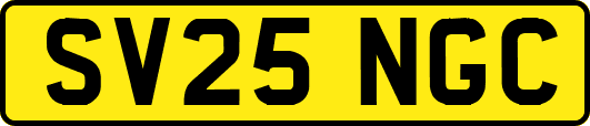 SV25NGC