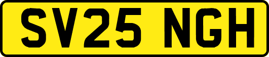 SV25NGH