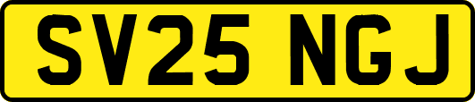 SV25NGJ