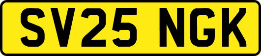 SV25NGK