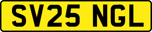 SV25NGL