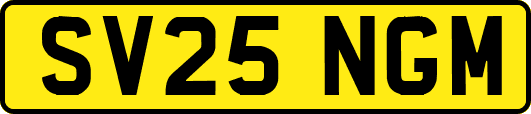 SV25NGM
