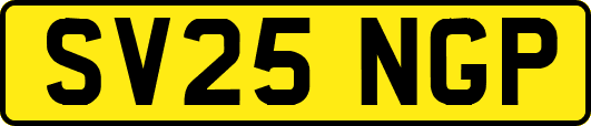 SV25NGP
