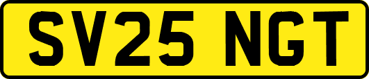 SV25NGT