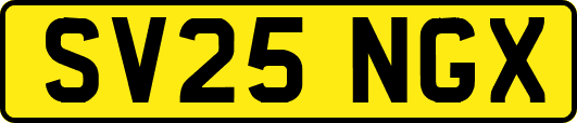 SV25NGX